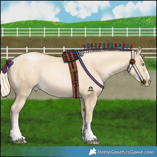 Horse Color:Palomino Pearl Dun 