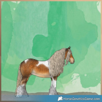 Horse Color:Chocolate Palomino Tobiano 