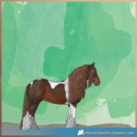 Horse Color:Liver Chestnut Tobiano 