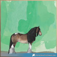Horse Color:Brown Dun Tobiano 