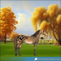 Horse Color:Void Buckskin Blanket 