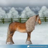 Horse Color:Chocolate Palomino Tobiano