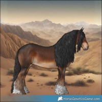 Horse Color:Gray Liver Chestnut Tobiano 