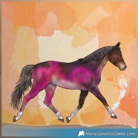 Horse Color:Liver Chestnut Tobiano 