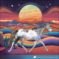 Horse Color:Liver Chestnut Sabino Tobiano Frame 