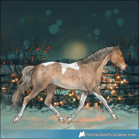 Horse Color:Chocolate Palomino Roan Tobiano 