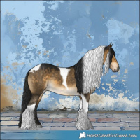 Horse Color:Gray Buckskin Dun Tobiano 