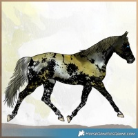 Horse Color:Void Watercolor White Spotted Liver Red Onyx Splash 