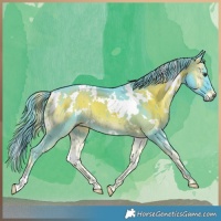 Horse Color:Watercolor White Spotted Liver Red Onyx 