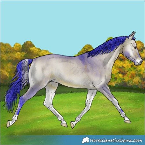 Horse Color:Watercolor Bay Onyx 