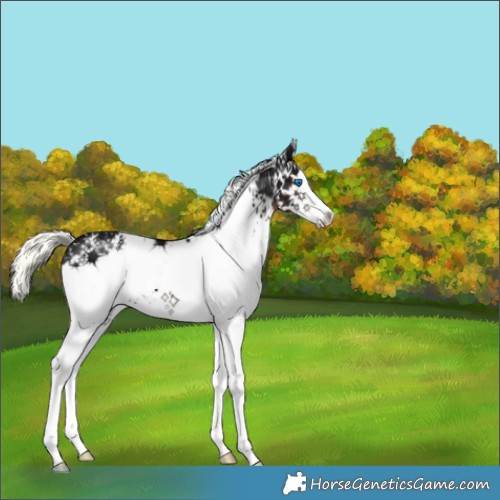 Horse Color:White Spotted Liver Chestnut Ice Mushroom Splash 