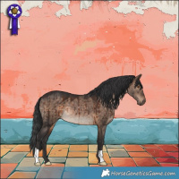 Horse Color:Brown Dun Brindle 