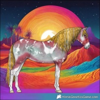 Horse Color:Painted Watercolor White Spotted Chocolate Palomino Ice Onyx Tobiano 