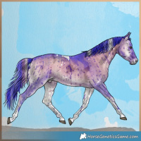 Horse Color:Watercolor White Spotted Liver Red Dun Ice Onyx Tobiano Rabicano Brindle 