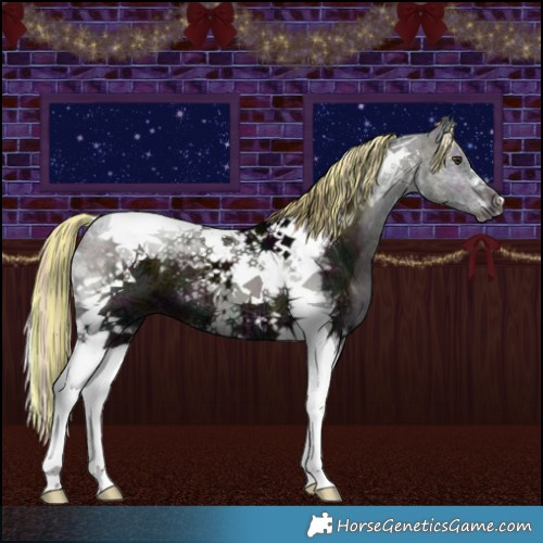 Horse Color:Painted Midnight Chocolate Palomino Ice Onyx Tobiano Brindle 
