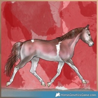 Horse Color:Liver Red Dun Onyx Tobiano 