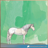 Horse Color:Cremello Dun Tobiano Snowcap Brindle 