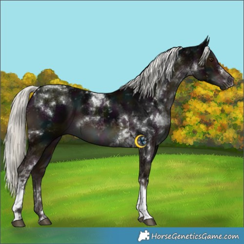 Horse Color:White Spotted Midnight Liver Chestnut Mushroom Tobiano 