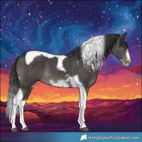 Horse Color:Smoky Black Tobiano Frame 