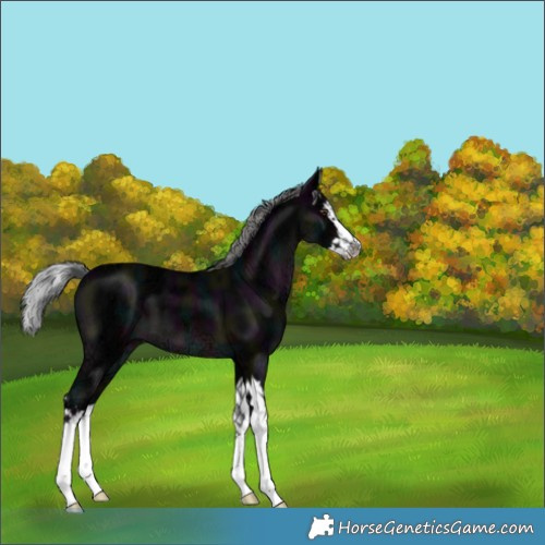 Horse Color:Platinum Midnight Liver Chestnut Ice Mushroom Splash 