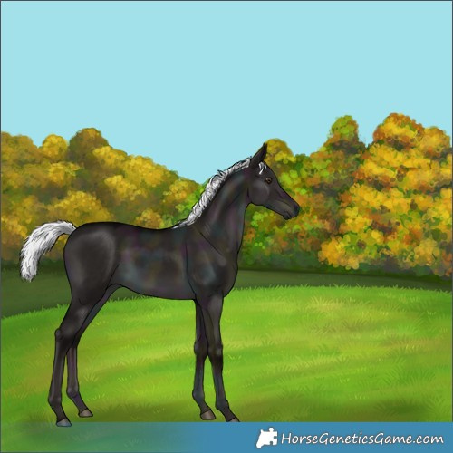 Horse Color:Platinum Midnight Liver Red Dun Mushroom 