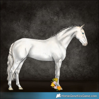 Horse Color:Palomino Roan Pearl  and White Spotted Palomino Roan Pearl 