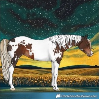 Horse Color:White Spotted Liver Chestnut Tobiano