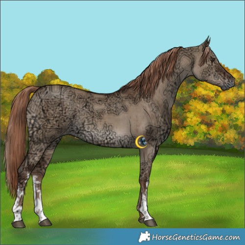 Horse Color:White Spotted Liver Red Dun Ice Brindle