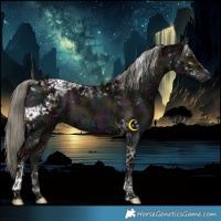 Horse Color:Midnight Liver Red Dun Ice Mushroom Tobiano 