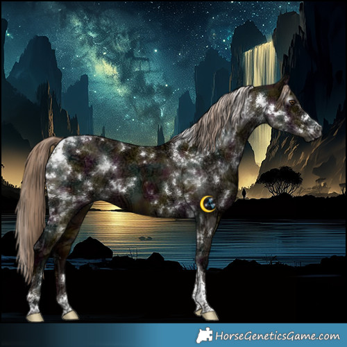 Horse Color:Gray White Spotted Midnight Liver Red Dun Ice Tobiano 