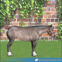 Horse Color:Platinum Chocolate Palomino 