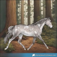 Horse Color:Platinum White Spotted Chocolate Palomino Dun 