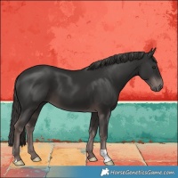 Horse Color:Platinum Liver Chestnut 
