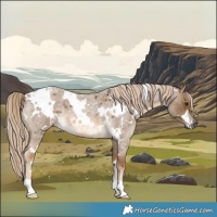 Horse Color:White Spotted Chocolate Palomino Roan 