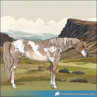 Horse Color:White Spotted Chocolate Palomino Roan 
