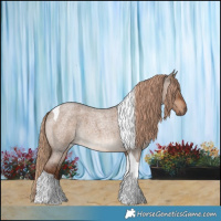 Horse Color:Liver Red Dun Roan Tobiano