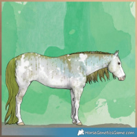 Horse Color:Watercolor White Spotted Liver Red Dun Onyx Sabino Brindle 