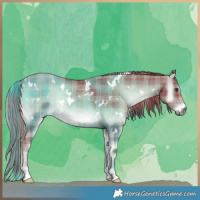 Horse Color:Watercolor Plaid  White Spotted Liver Red Onyx 