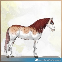 Horse Color:Watercolor Liver Red Dun Onyx Splash Brindle 