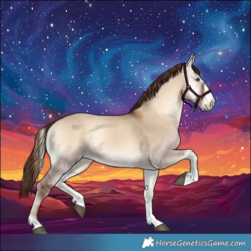 Horse Color:Red Dun Onyx 