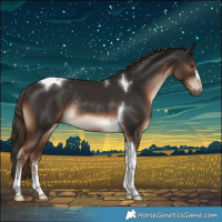 Horse Color:Liver Chestnut Tobiano Rabicano