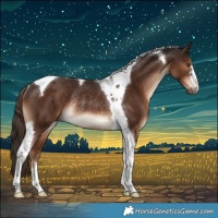 Horse Color:Liver Chestnut Tobiano Rabicano 