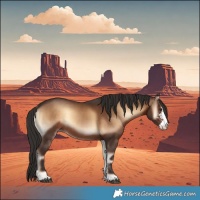 Horse Color:Liver Red Onyx Sabino Rabicano