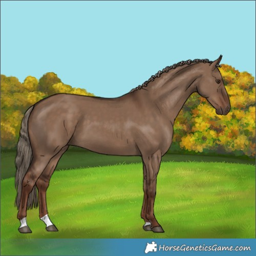 Horse Color:Liver Red Dun 