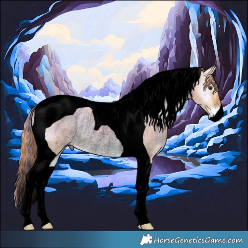 Horse Color:Void Watercolor Plaid  Liver Red Dun Onyx Tobiano Rabicano 