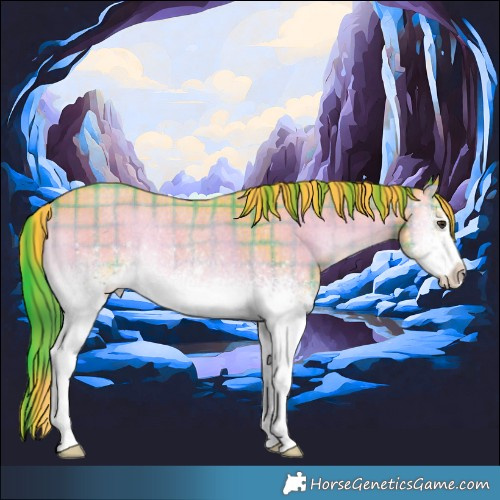 Horse Color:Watercolor Plaid  White Spotted Liver Red Onyx Roan Rabicano Brindle 