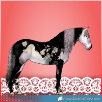 Horse Color:Void Watercolor Liver Red Dun Onyx Tobiano 