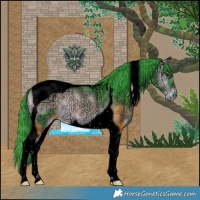 Horse Color:Void Watercolor Plaid  Liver Red Onyx Ice Tobiano 