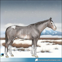 Horse Color:Liver Chestnut Sabino Splash Varnish Rabicano 