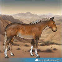 Horse Color:Chocolate Palomino Tobiano 